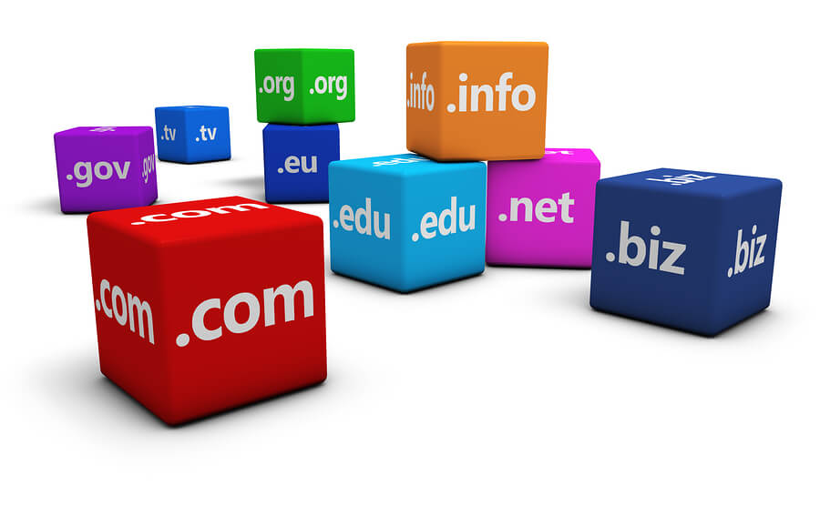 thedailydomainer.com logo