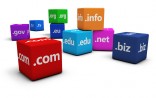 thedailydomainer.com logo